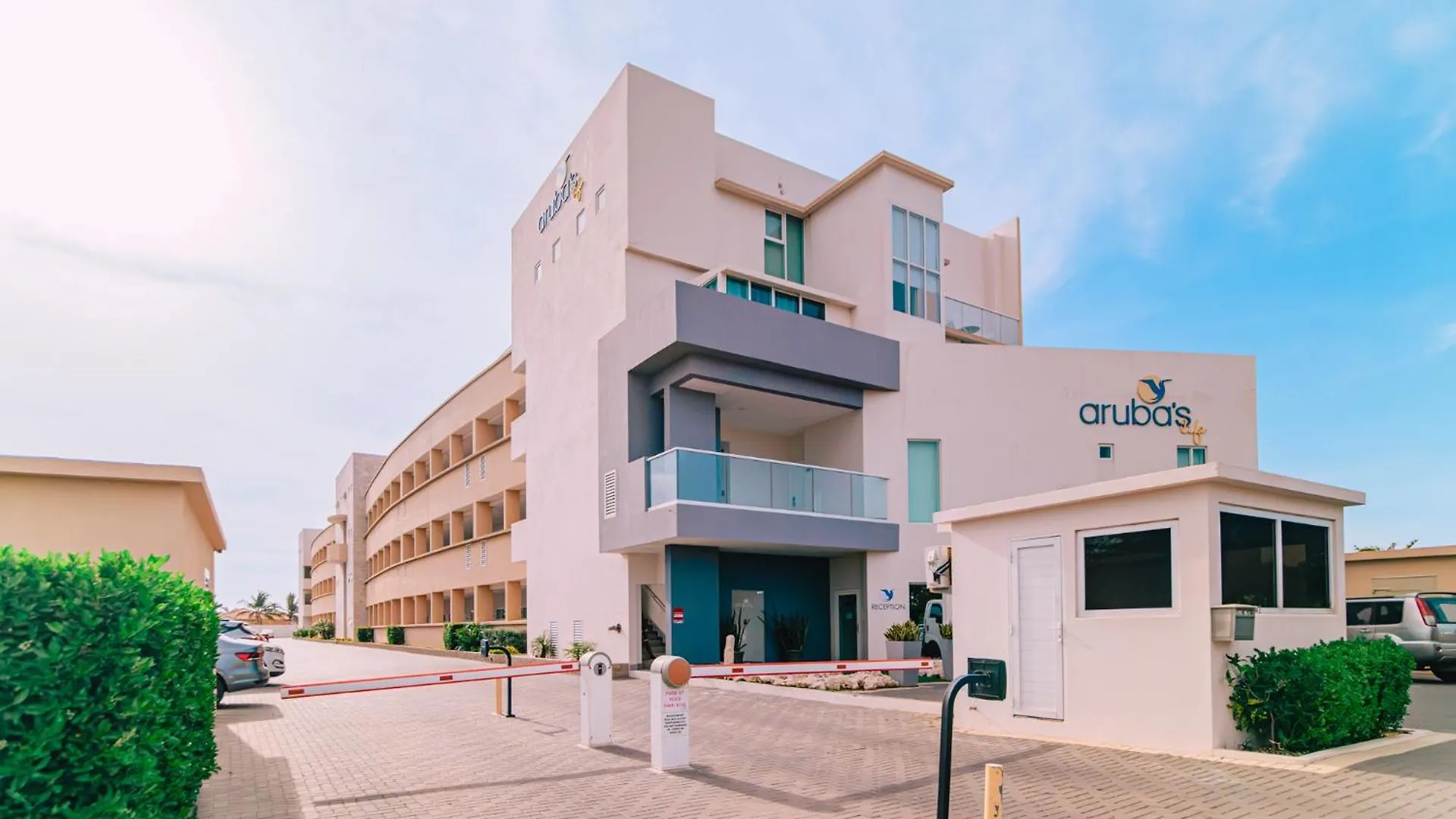 Arubas Life 117 Apartment Noord