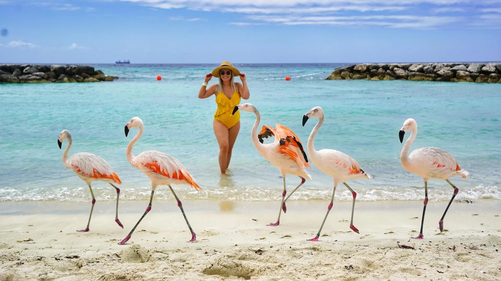 Arubas Life 117 Apartment Noord Aruba